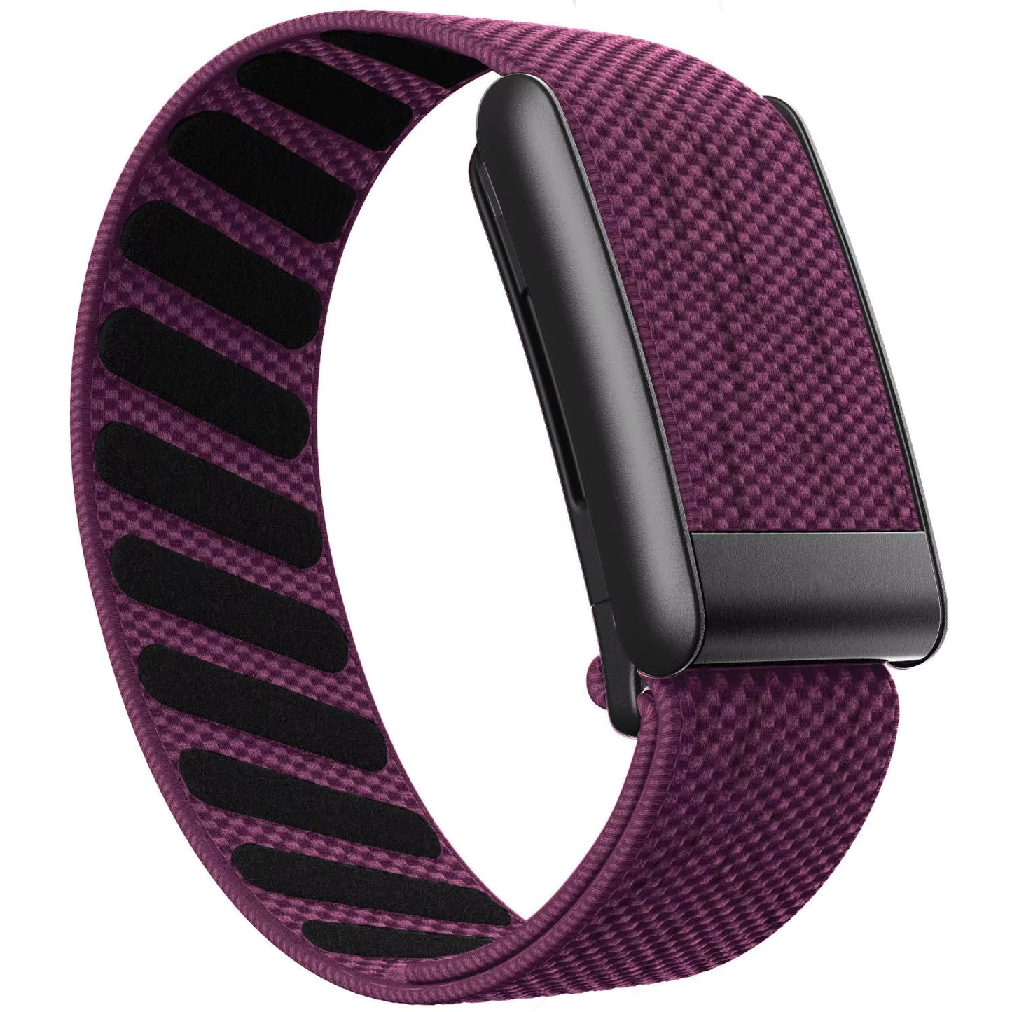 Plum Purple