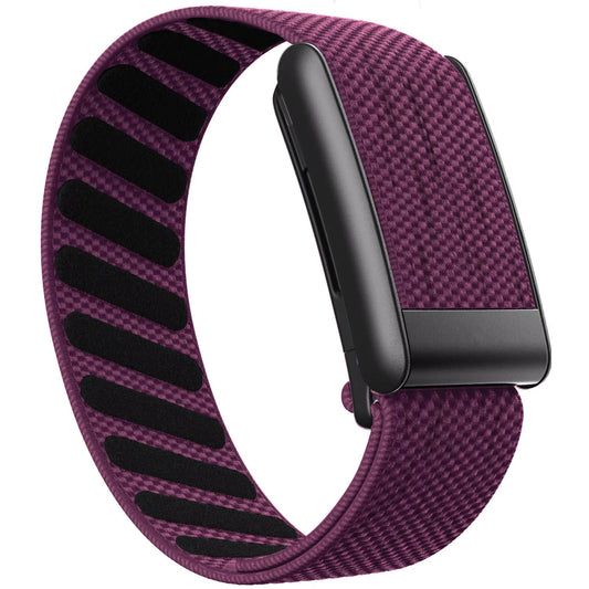 Plum Purple